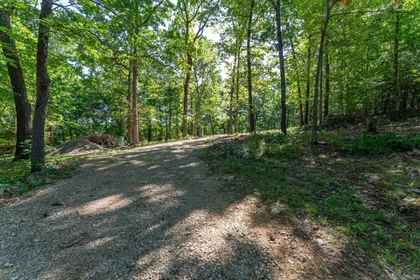 910 Marion County 7097, Flippin, AR 72634