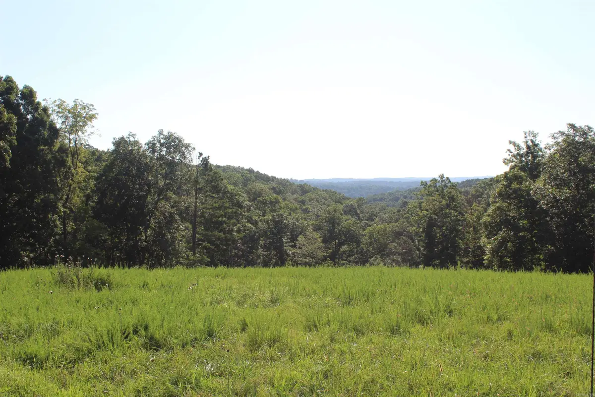 4815 Hwy 125 N, Yellville, AR 72687 - #1