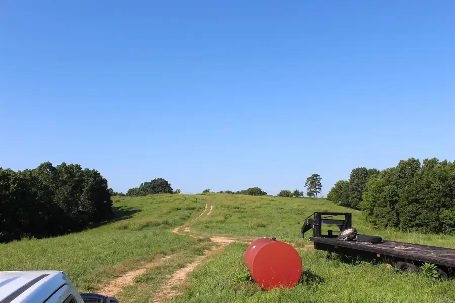 4815 Hwy 125 N, Yellville, AR 72687 - #2
