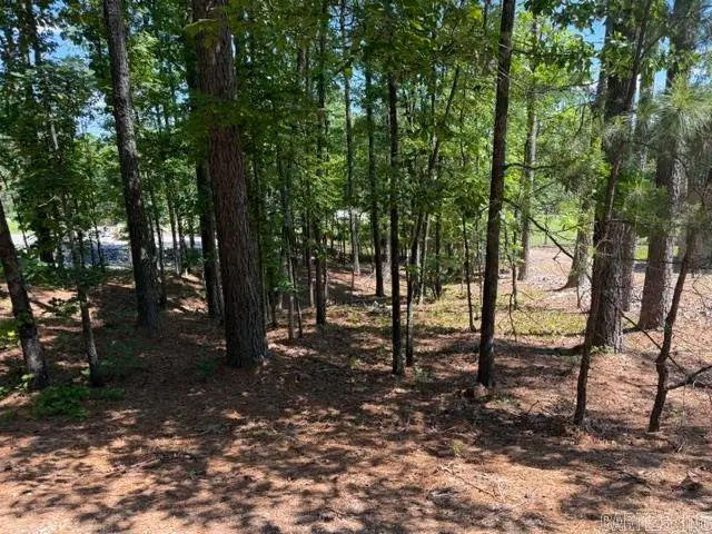 7 Belleza Drive, Hot Springs Village, AR 71909 - #3