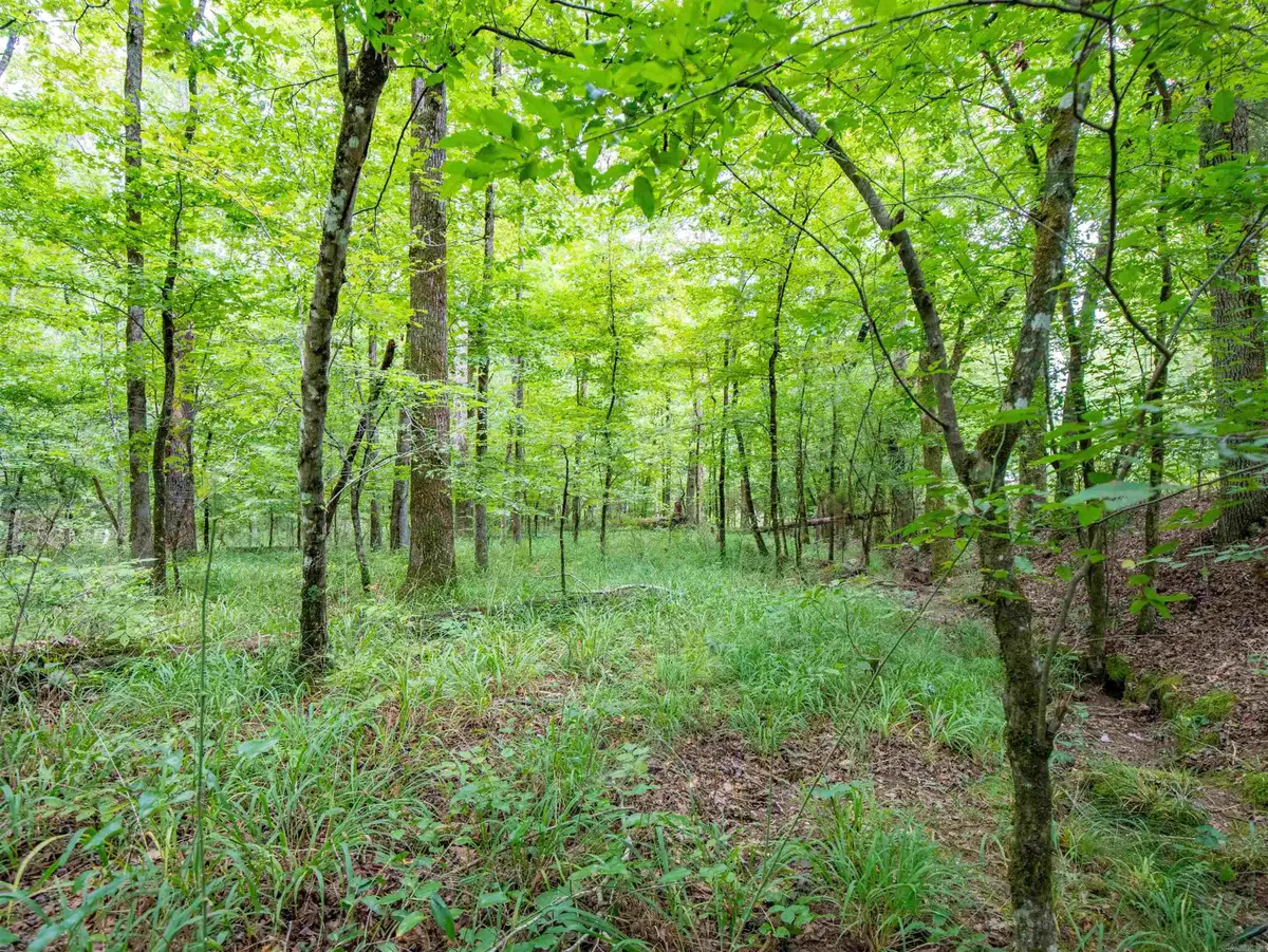1 Camino Road, Hot Springs Village, AR 71909 - #1