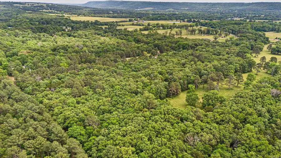 1000 W Gum Log Road, Russellville, AR 72802 - #3