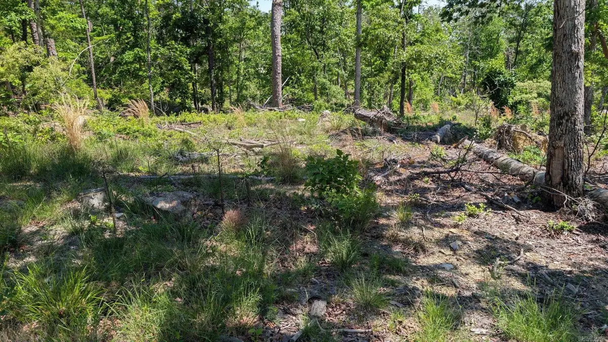 Address Withheld By Seller, Hot Springs Village, AR 71909 - #1