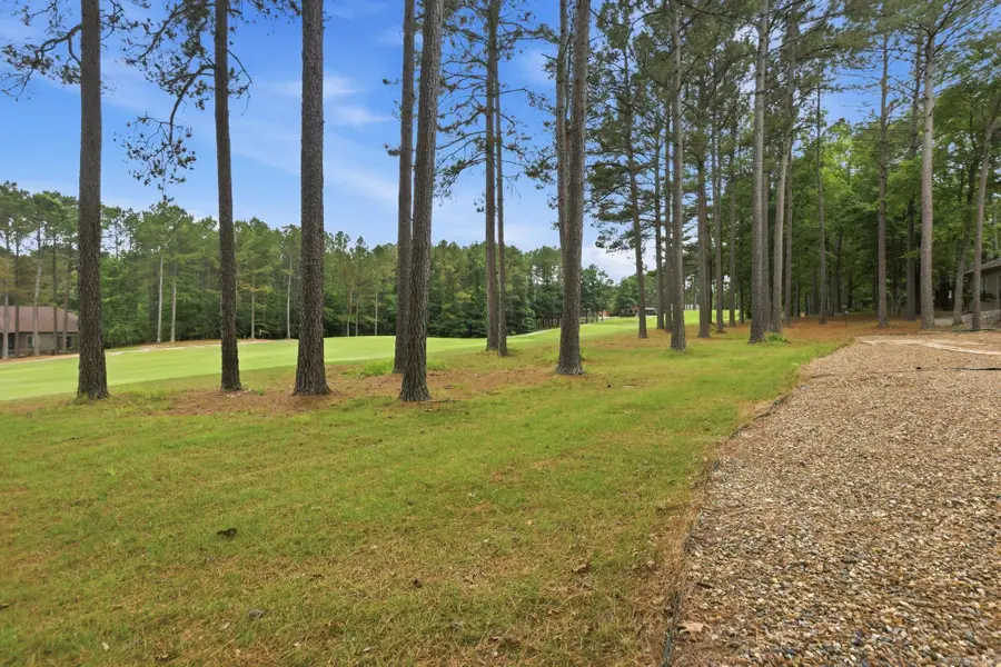 14 Asombroso Lane, Hot Springs Village, AR 71909 - #3