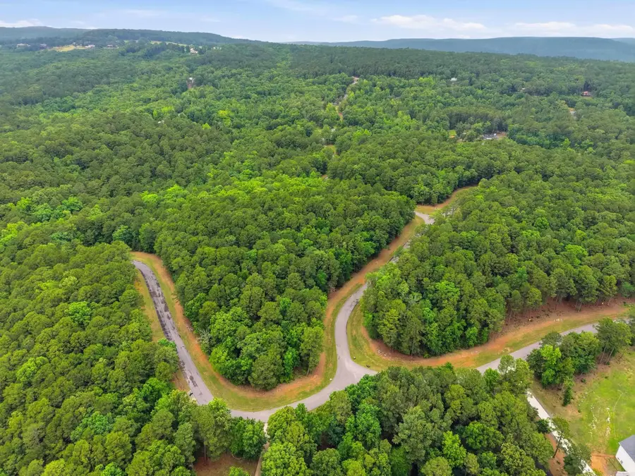 Lot 4 Edgewater Drive, Edgemont, AR 72044 - #2