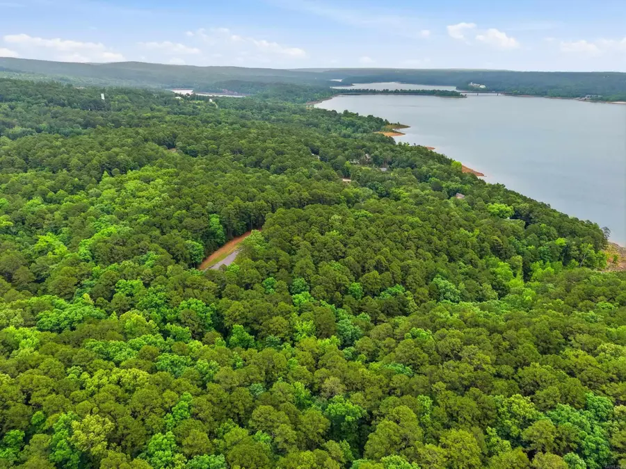 Lot 4 Edgewater Drive, Edgemont, AR 72044 - #3