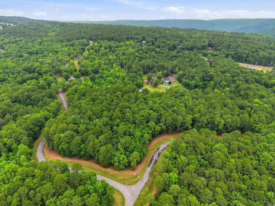 Lot 8 Summerwind Drive, Edgemont, AR 72044 - #2