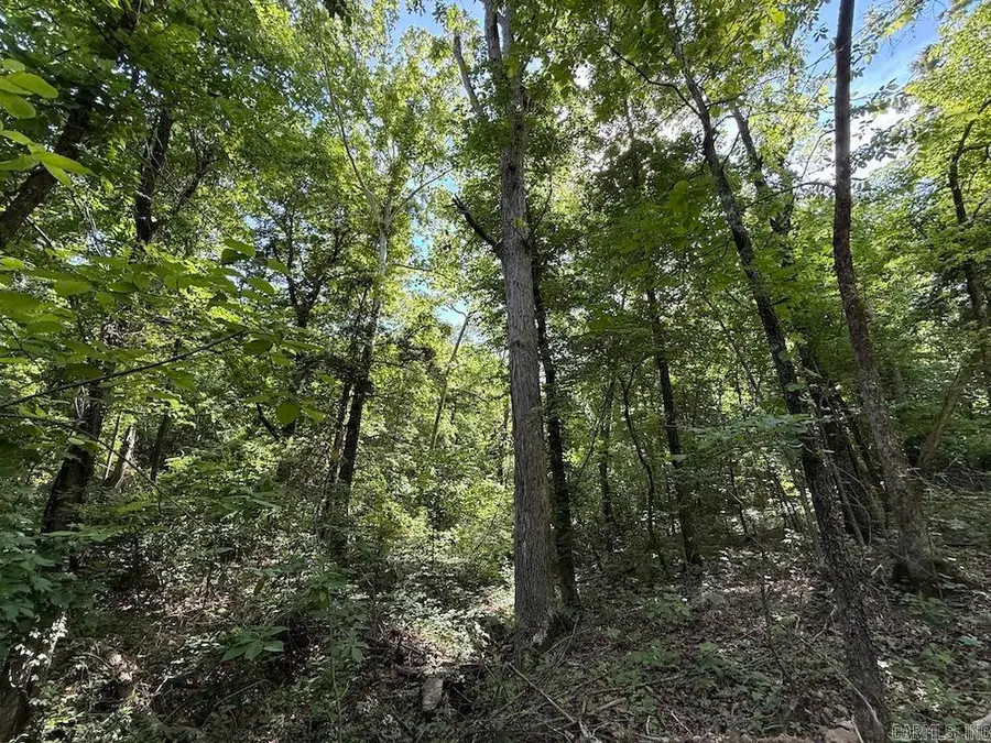 Cr 6011, Yellville, AR 72687 - #2