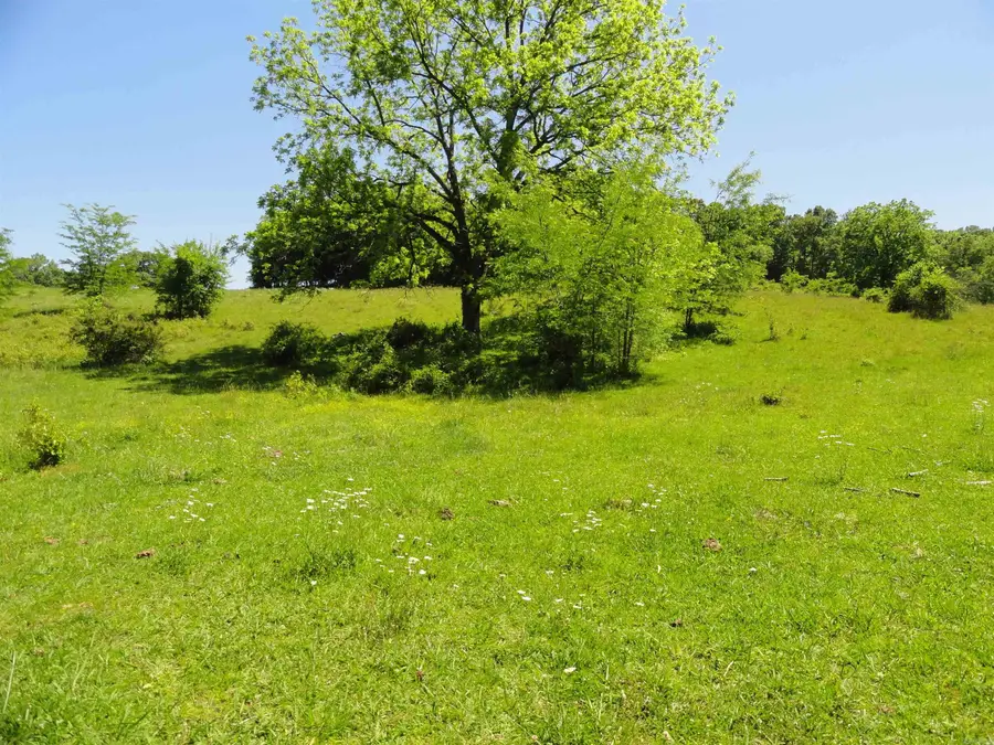 967 E Hwy 333, Saint Joe, AR 72675 - #3