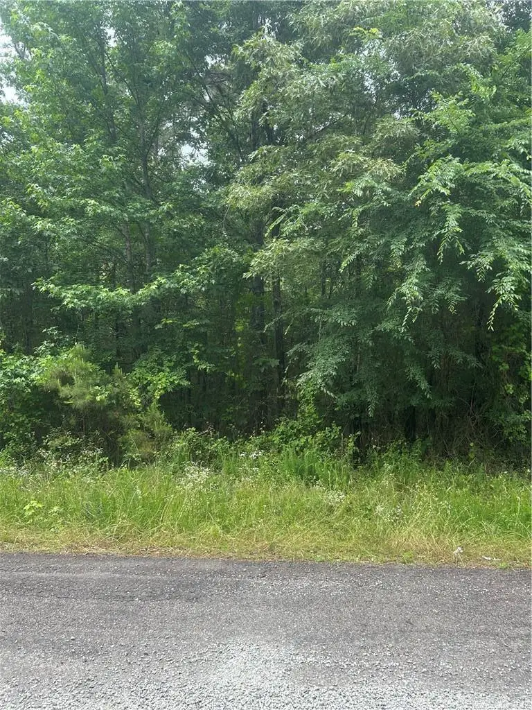 000 Wildcat Hollow, Dardanelle, AR 72834 - #1