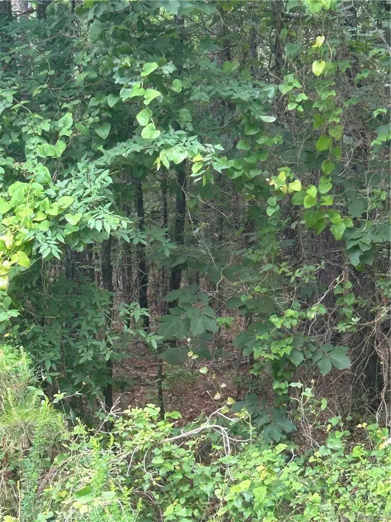 000 Wildcat Hollow, Dardanelle, AR 72834 - #3
