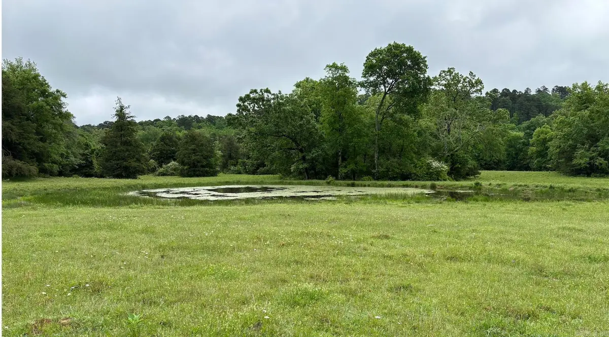 15 acres Liberty Road, Norman, AR 71960 - #1