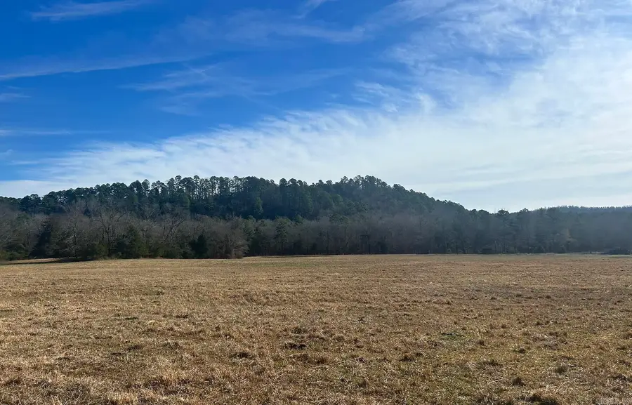 15 acres Liberty Road, Norman, AR 71960 - #2