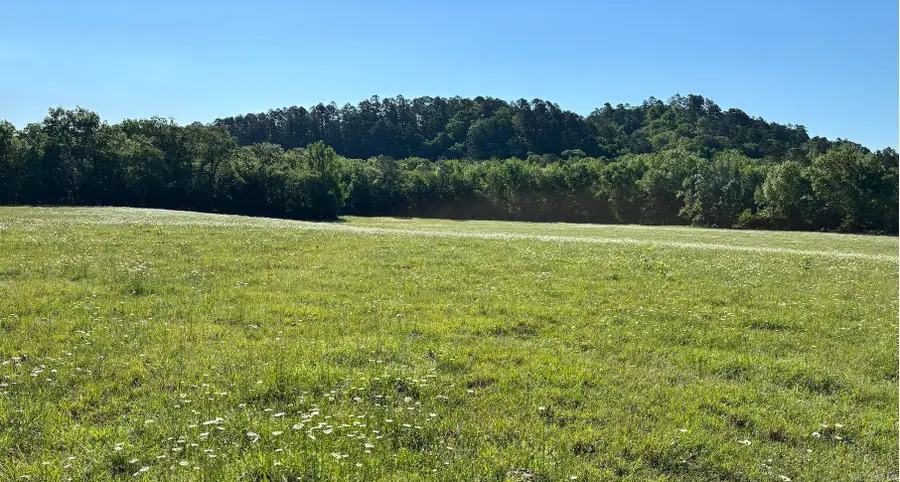 15 acres Liberty Road, Norman, AR 71960 - #3