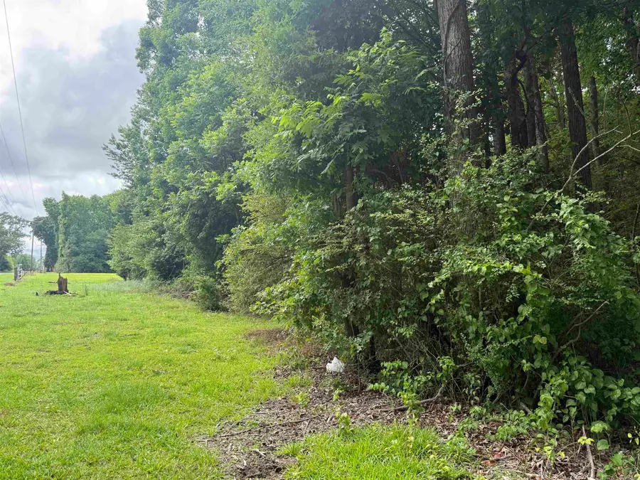000 Woodlawn Road, Austin, AR 72007 - #3