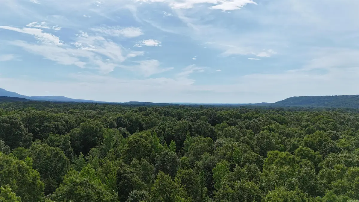 Address Withheld By Seller, Dardanelle, AR 72834 - #1