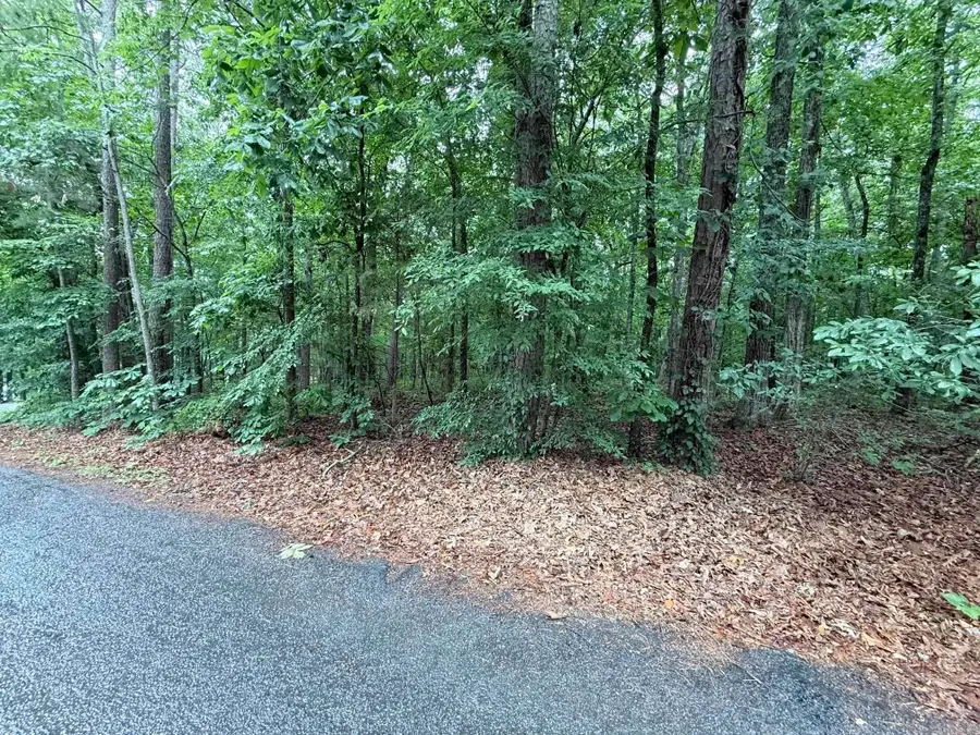 00 Davidson Cir., Greers Ferry, AR 72067 - #3
