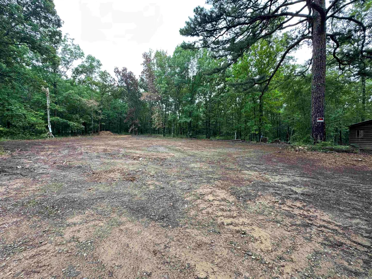 59 Bryant, Greers Ferry, AR 72067 - #1