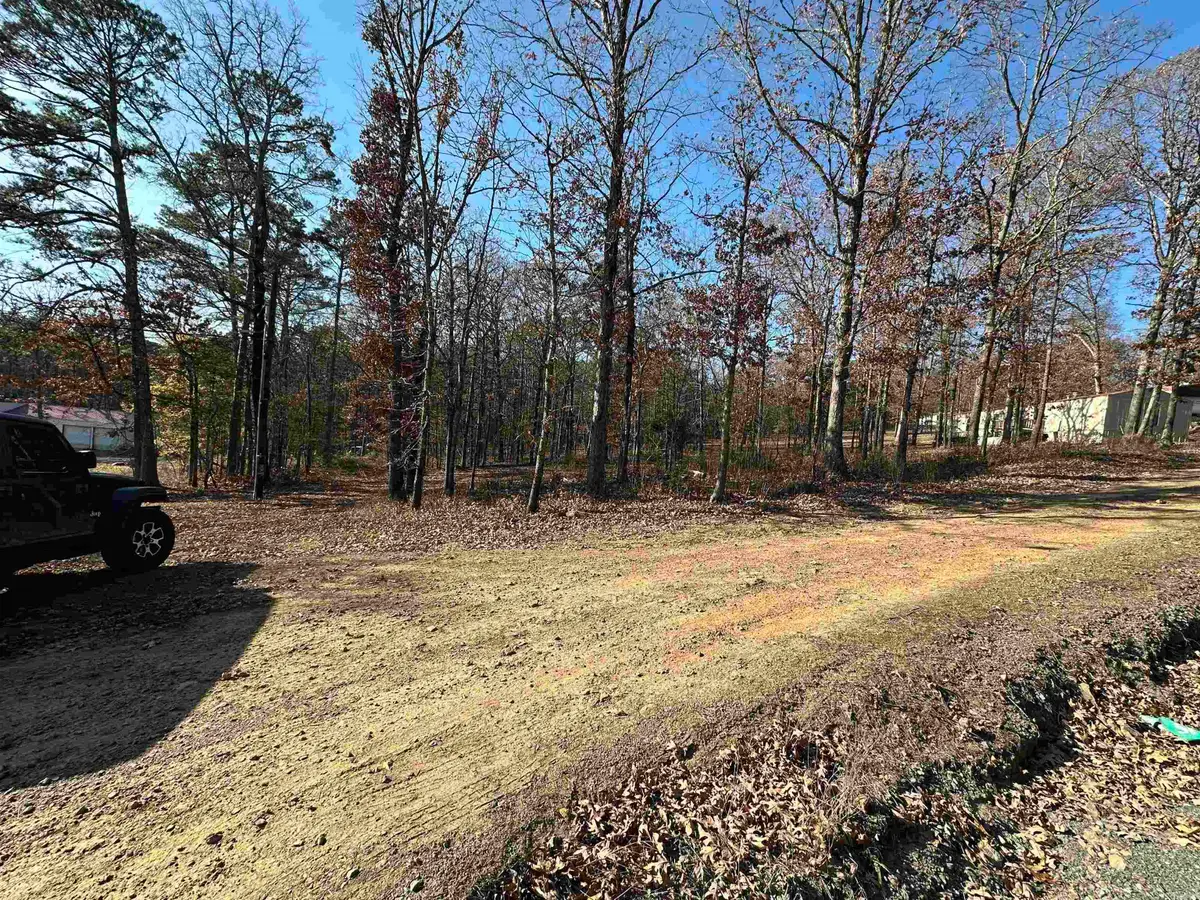 00 Bryant, Greers Ferry, AR 72067 - #1