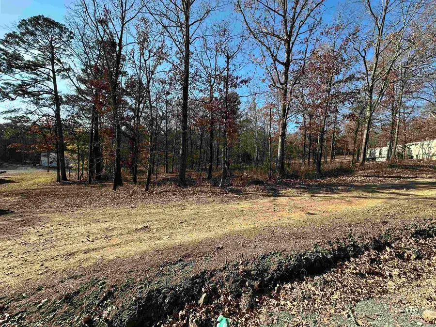 00 Bryant, Greers Ferry, AR 72067 - #2