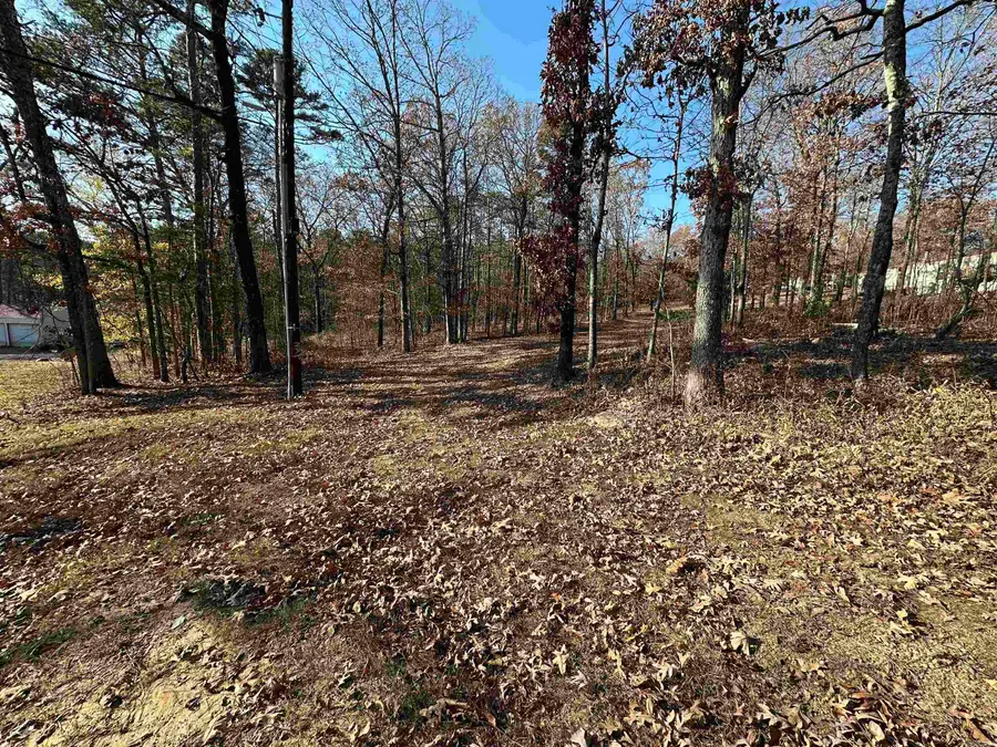 00 Bryant, Greers Ferry, AR 72067 - #3