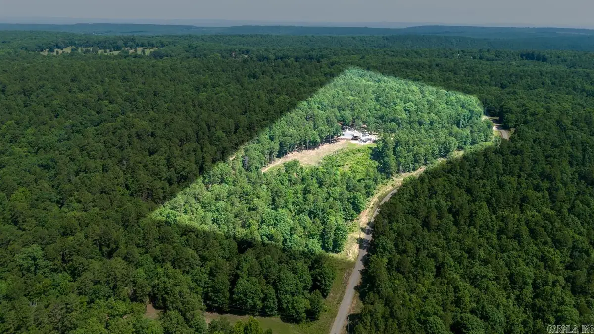 40220 Reece Creek Rd, Bigelow, AR 72016 - #1