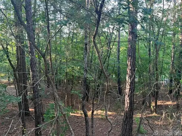 26 Piocha Lane, Hot Springs Village, AR 71909