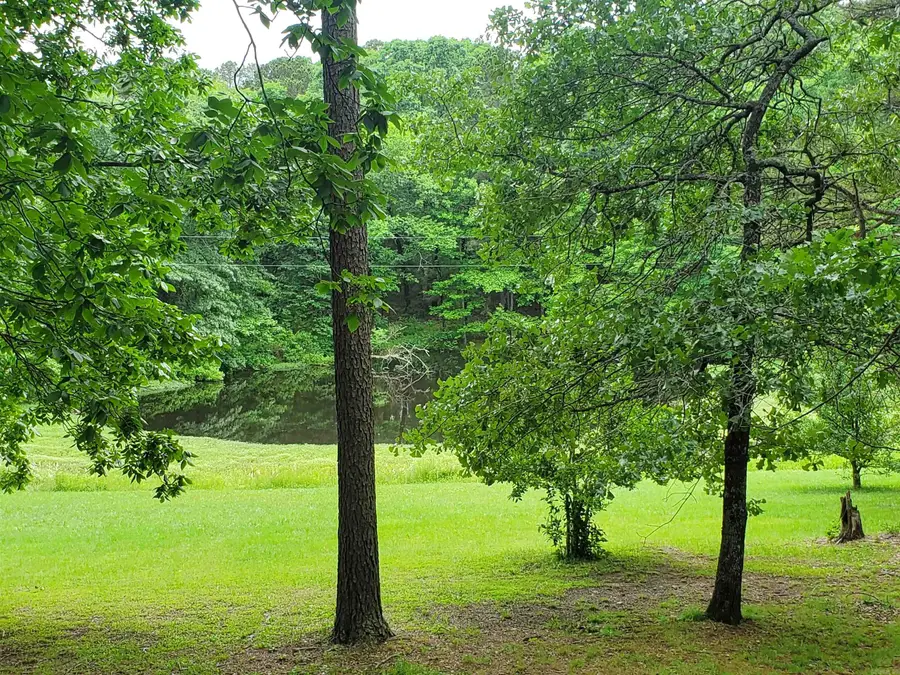 288 Polk Road 57, Mena, AR 71953 - #2