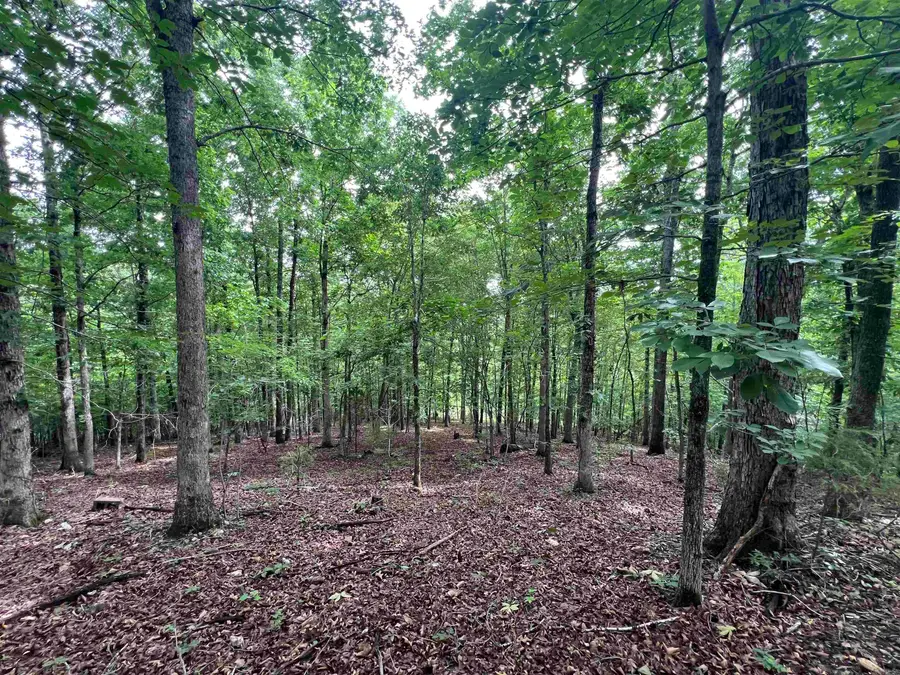 2661 Red Bluff Rd., Marshall, AR 72650 - #2