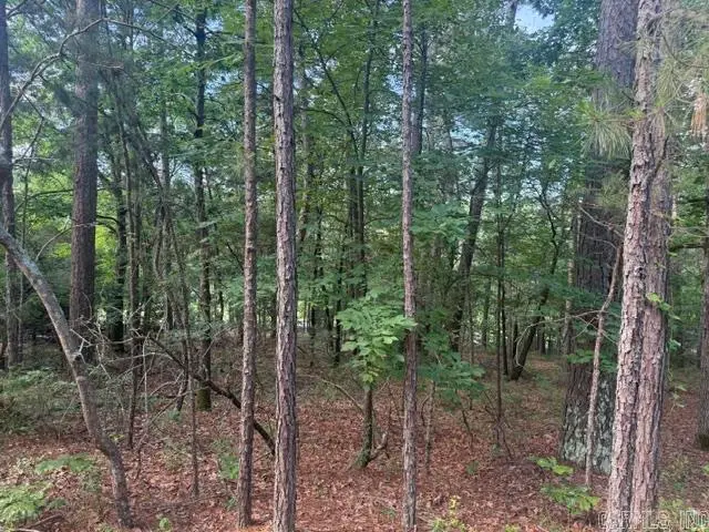 155 Cifuentes Way, Hot Springs Village, AR 71909 - #1