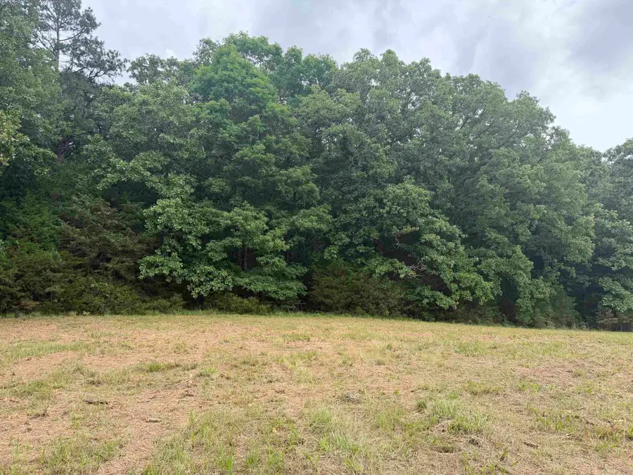 Tract 1 Sandy Ford Rd., Antioch, AR 72012 - #2