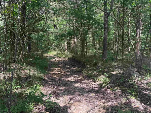 TBD Bell Foley Road, Poughkeepsie, AR 72569