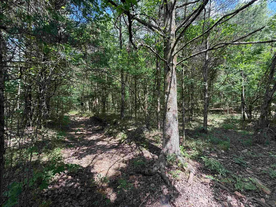 TBD Bell Foley Road, Poughkeepsie, AR 72569 - #2