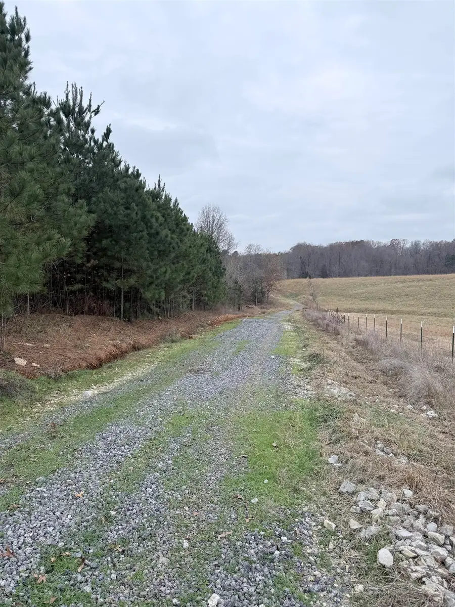 33 acres M/L Greene 710, Paragould, AR 72450 - #3