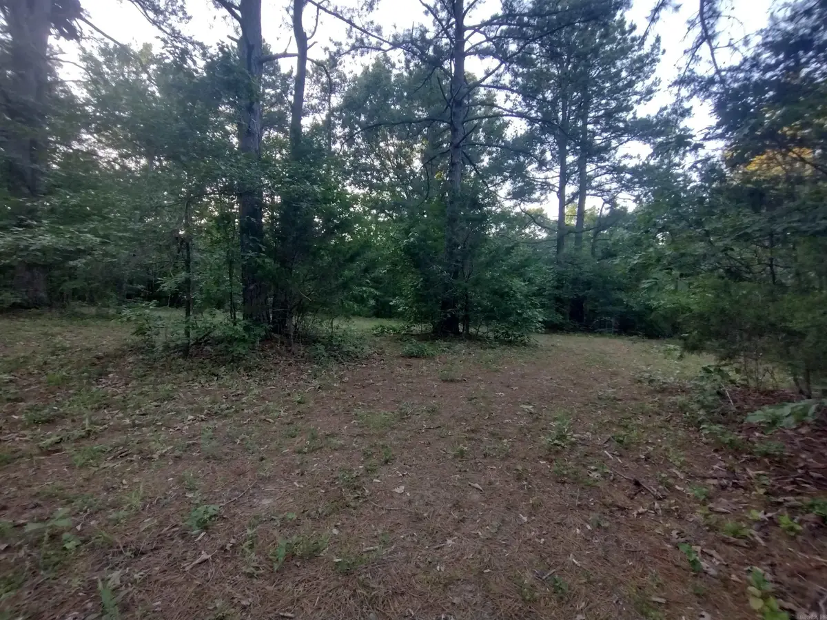 Tract 3 Alamo Dr, Mountain View, AR 72560 - #1