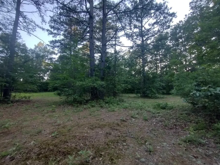 Tract 3 Alamo Dr, Mountain View, AR 72560 - #2