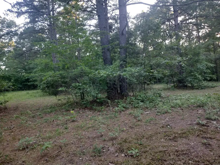 Tract 3 Alamo Dr, Mountain View, AR 72560 - #3