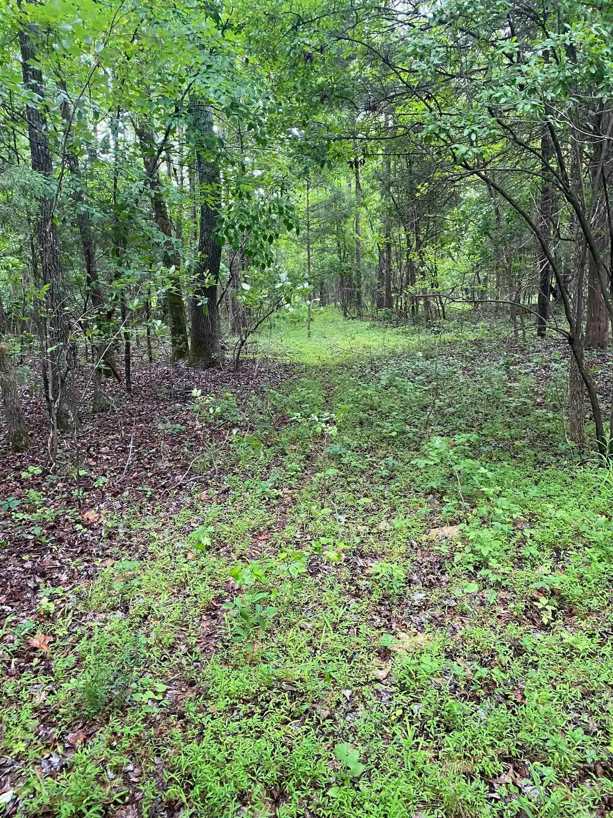 10 acres County Road 326, Jonesboro, AR 72401 - #1