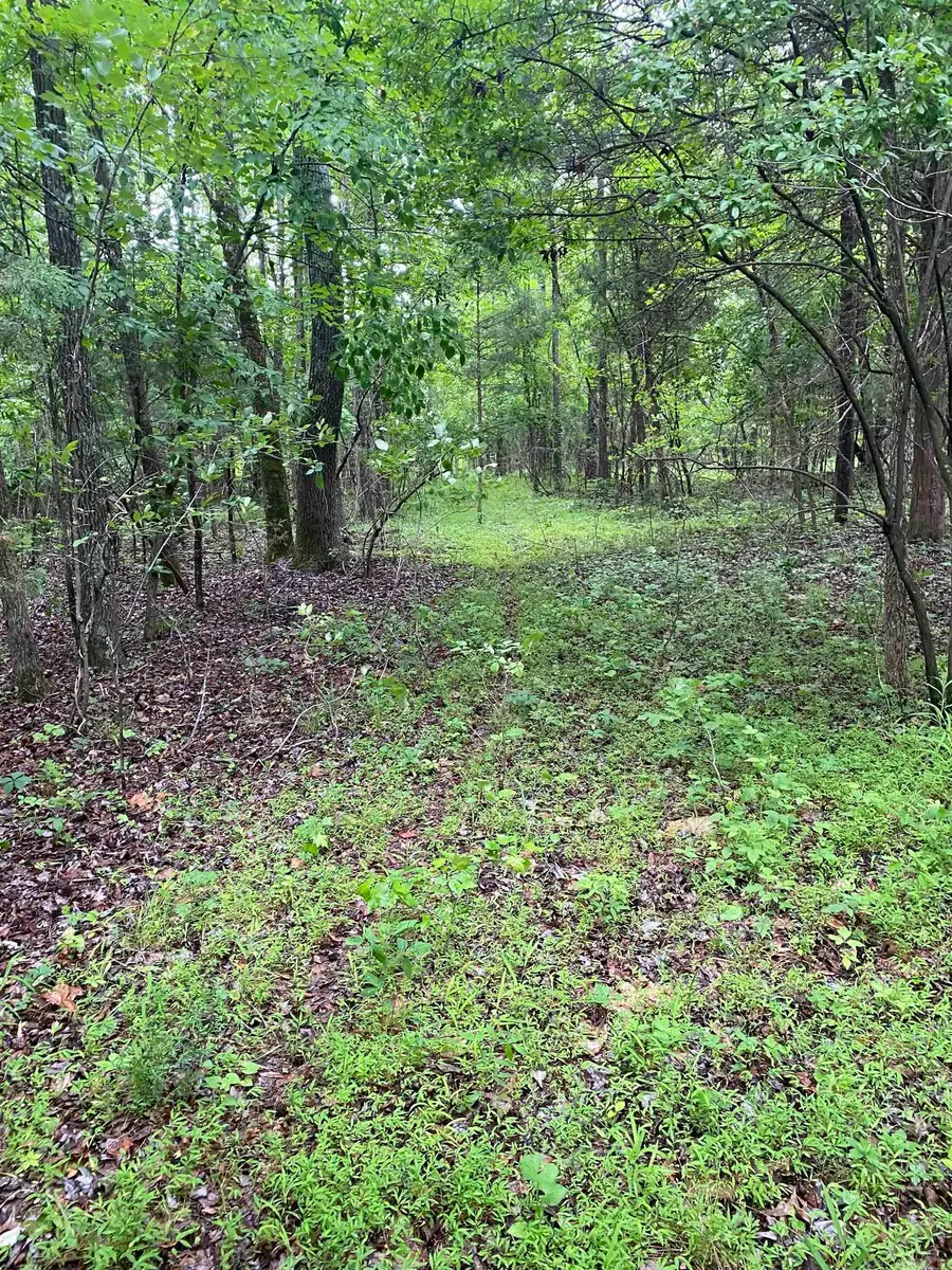 10 acres County Road 326, Jonesboro, AR 72401 - #2