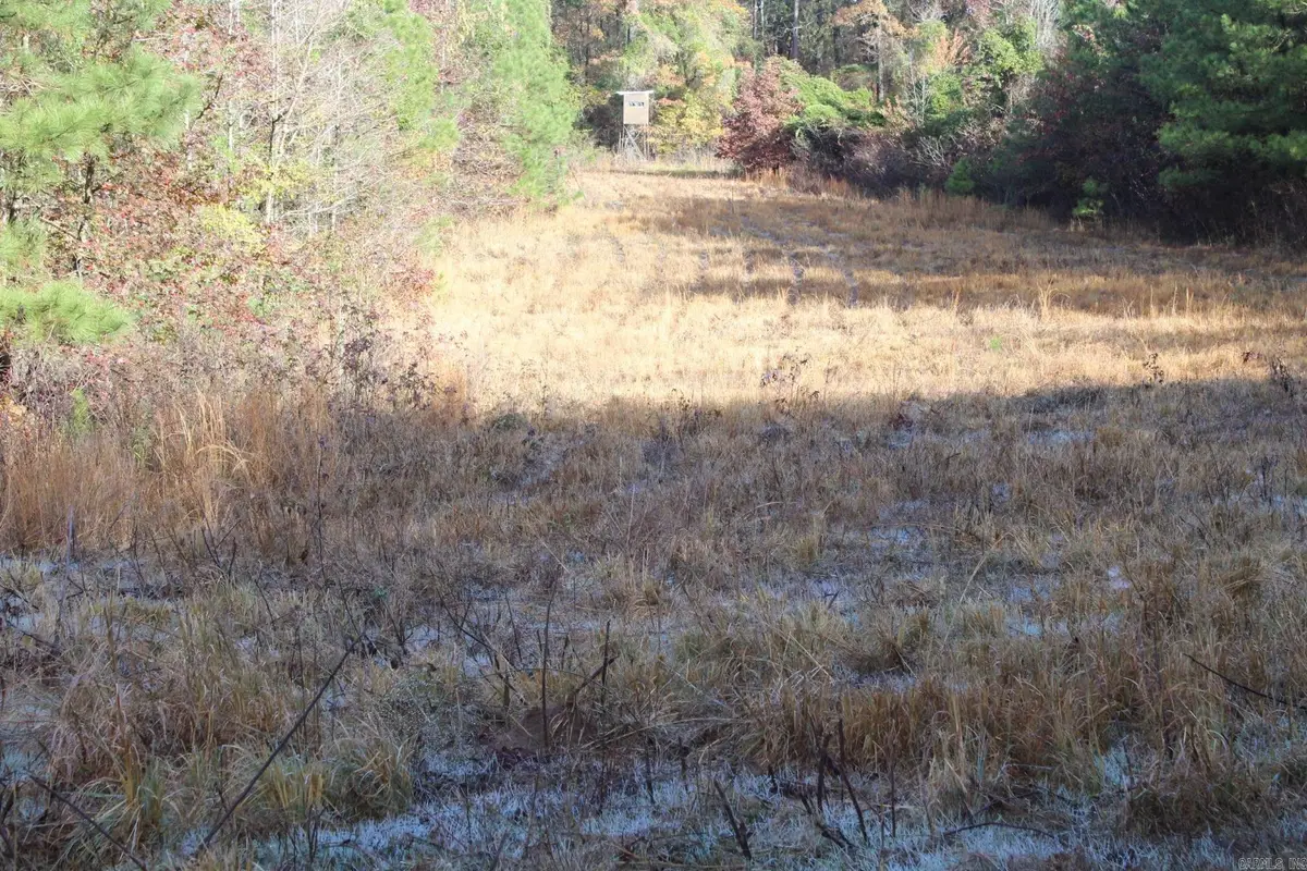 Hickory Grove Rd., Nashville, AR 71852 - #1