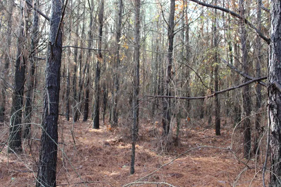 Hickory Grove Rd., Nashville, AR 71852 - #2