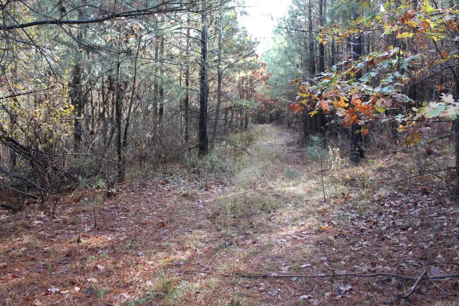 Hickory Grove Rd., Nashville, AR 71852 - #3