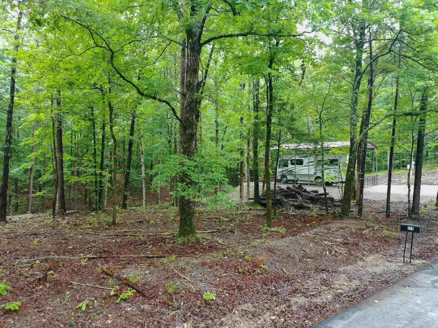 Address Withheld By Seller, Hot Springs, AR 71901 - #3