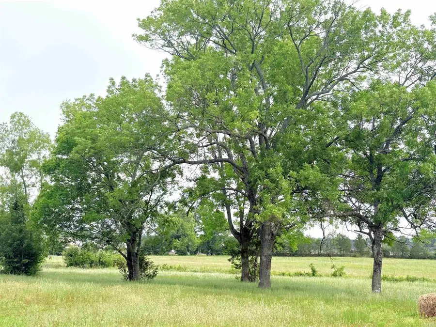 78 E Hwy 225 Street, Greenbrier, AR 72058 - #3