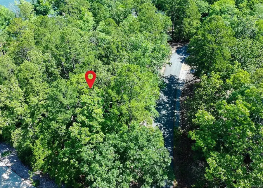 41 Fineza Way, Hot Springs Village, AR 71909 - #3