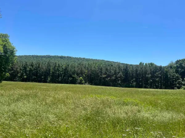 13535 Harkey Valley Road, Dardanelle, AR 72834