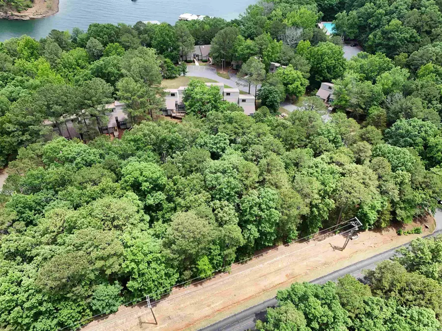 Lot 25 Dave Creek Parkway, Fairfield Bay, AR 72088 - #3