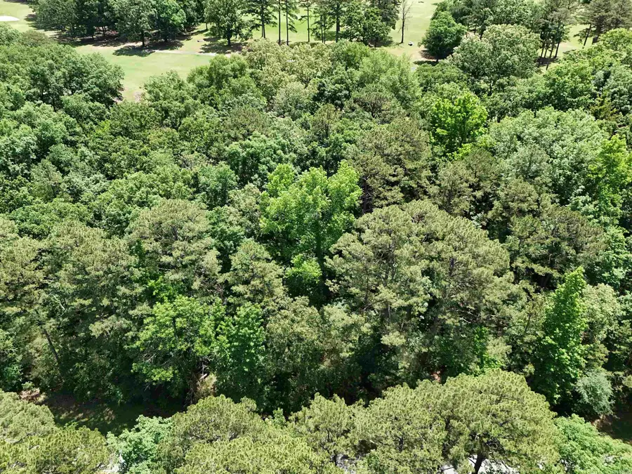 Lot 8 Mountain Ranch Drive, Fairfield Bay, AR 72088 - #2