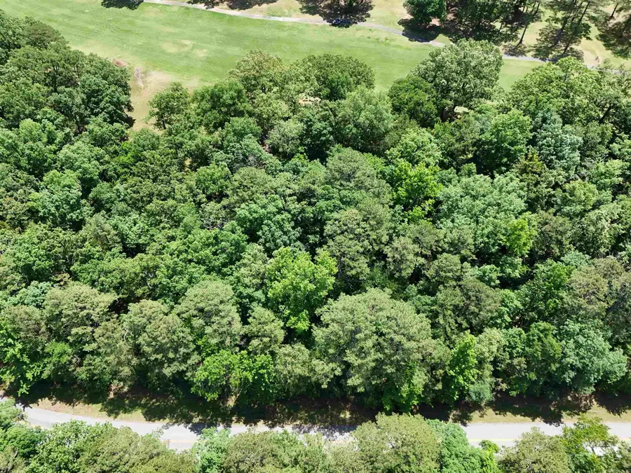Lot 8 Mountain Ranch Drive, Fairfield Bay, AR 72088 - #3