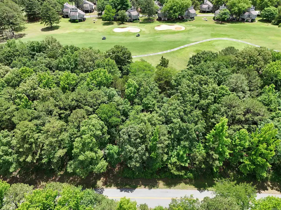 Lot 24 Mountain Ranch Drive, Fairfield Bay, AR 72088 - #2